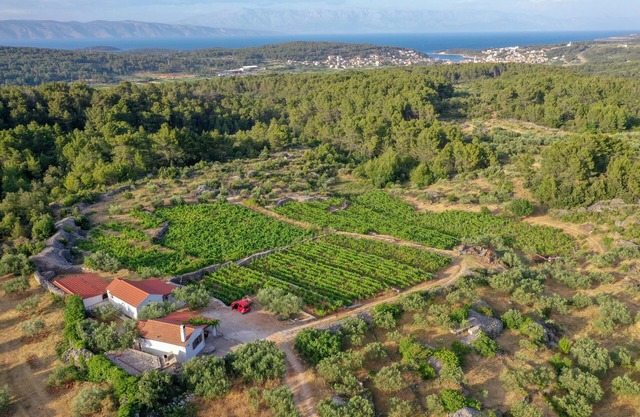 Holiday house with a parking space Pitve, Hvar (K-17397)