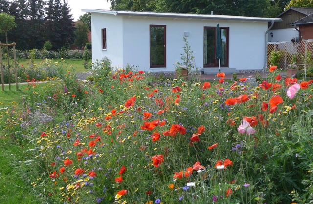 Holiday house with garden near the Baltic Sea