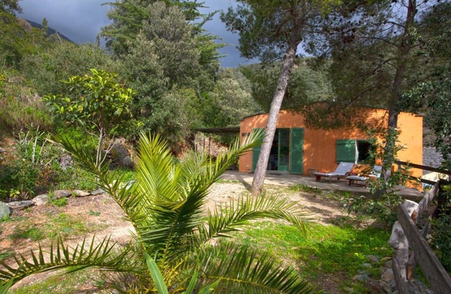 Holiday rental unusual