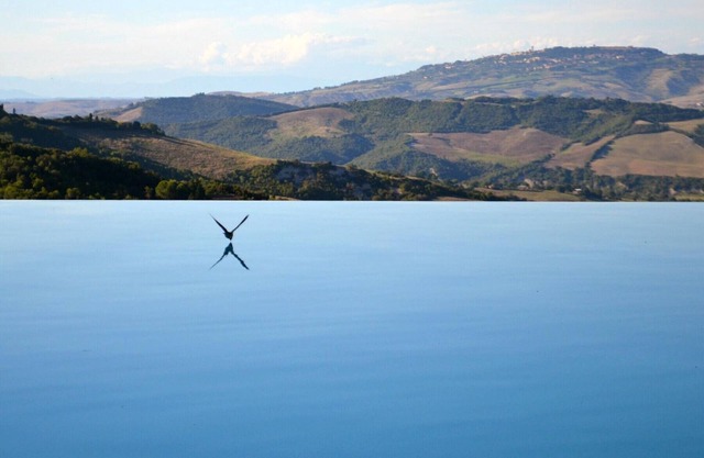Holiday, where Tuscany is still authentic. 16th c. Villa, Infinity Pool: Ginepro