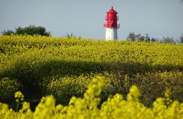 Holidays by the sea in a historic thatched house: WiFi, 2 Smart TVs, sauna from 2022