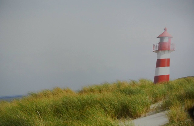 Holidays, holidays and sea