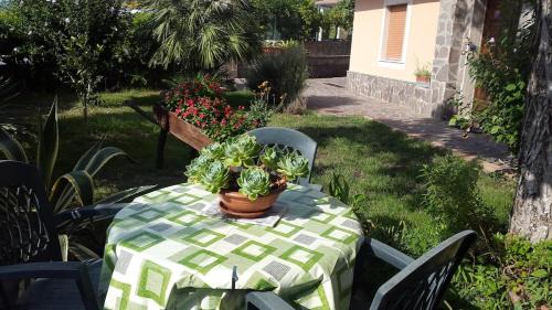 Holidays in Cilento