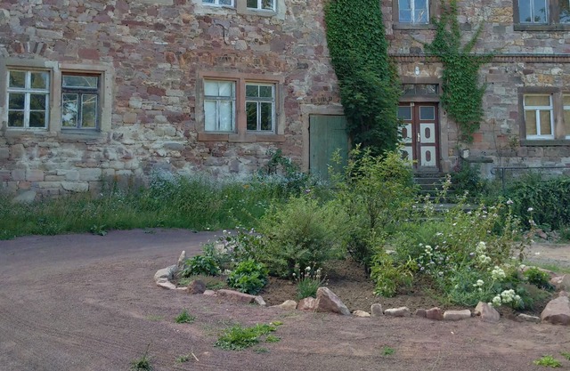 Holidays in Schloss Friedeburg on the Hofgut in keeping with nature