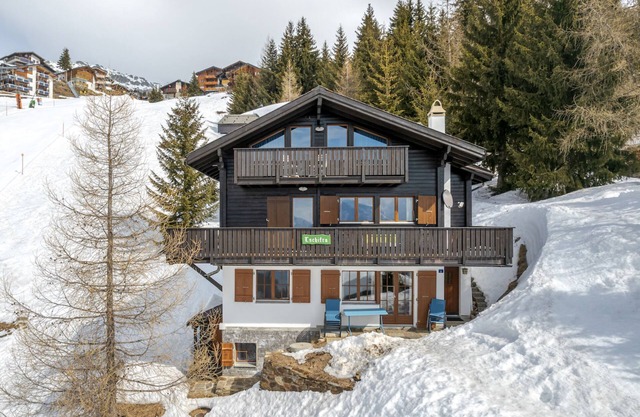 Holidays in the Aletsch Arena at the Aletsch Glacier in the Unesco World Natural
