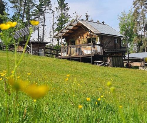 Holzhütte allein am Waldrand