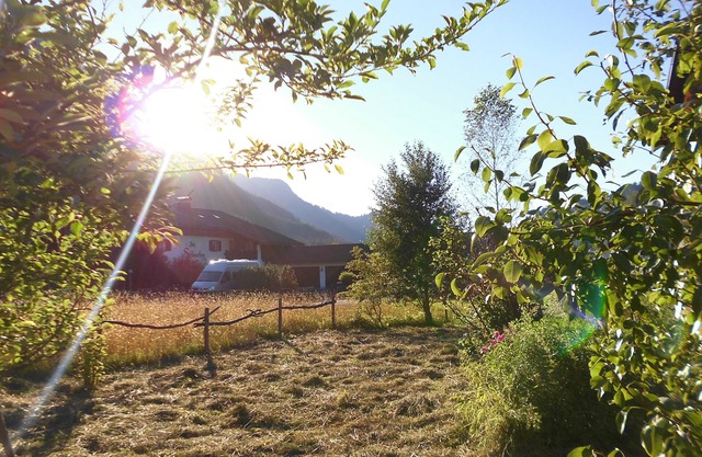 Holzhaus Besler in Hinterstein Self-catering house in the Allgäu Alps