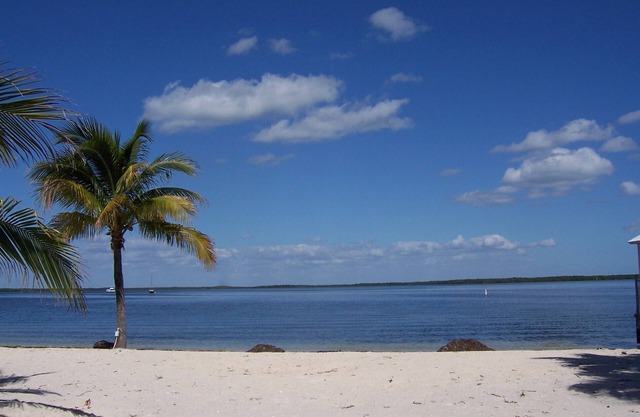 Home Away From Home, Cozy 3 Bedroom Beachfront & Waterfront Key Largo Home