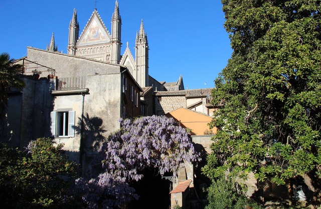 Home page in Orvieto - Superior