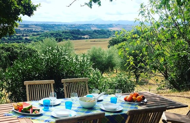 Home set in olive grove with stunning views