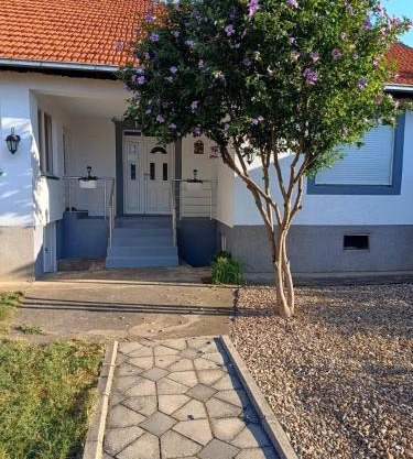 Home Well Apartman Vranje