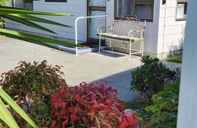 Homely haven 2 bedroom house. Only 1.1km to the Napier CBD and Marine Parade