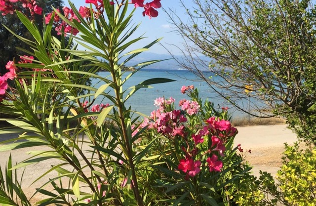 Homerez - 50 m away from the beach! Spacious appartement for 8 ppl. at Anthidona