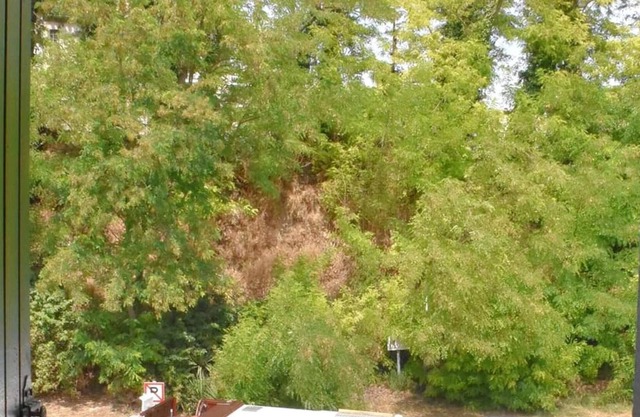 Homerez - Amazing appartement for 2 ppl. with balcony at Trèbes