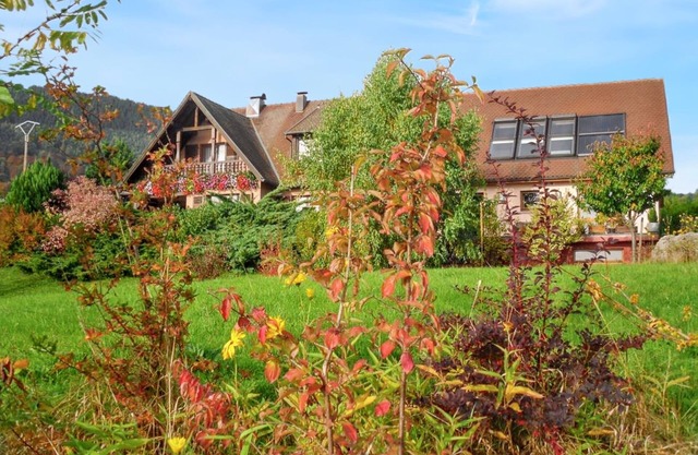 Homerez - Appt Thannenkirch, Mountain View
