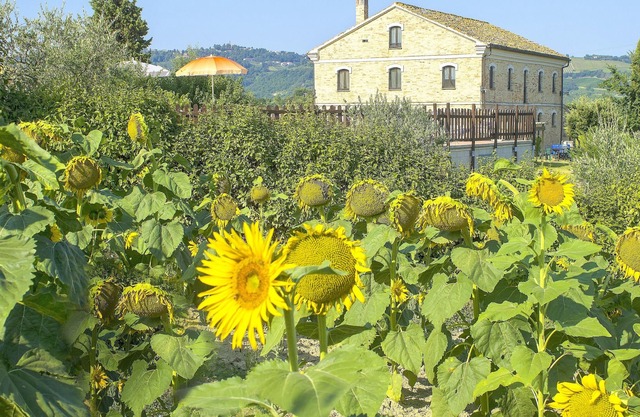 Homerez - Big villa for 20 ppl. with swimming-pool at Montecarotto