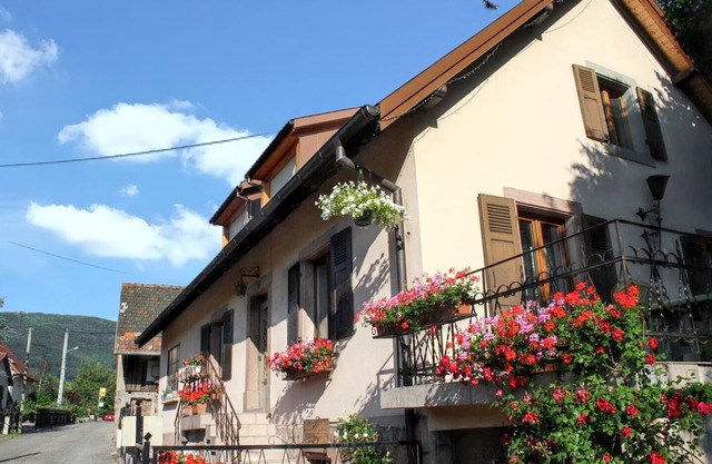 Homerez - Charming house in Wuenheim with garden and terrace