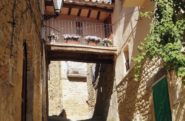 Homerez - Charming House in Orés