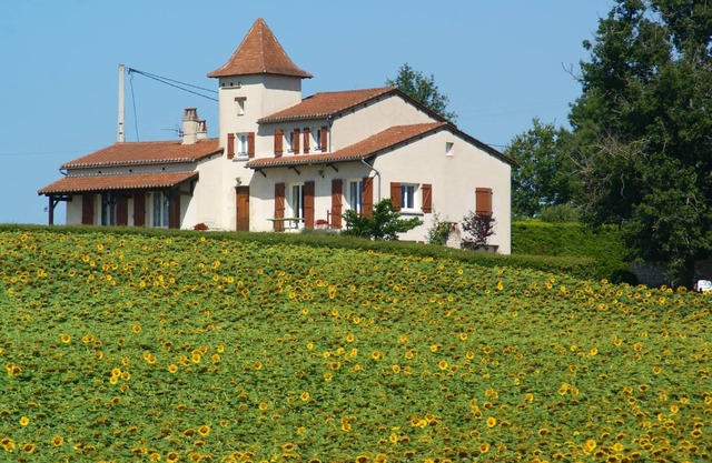 Homerez - House for 7 ppl. with jacuzzi at Castelnau-Montratier-Sainte-Alauzie