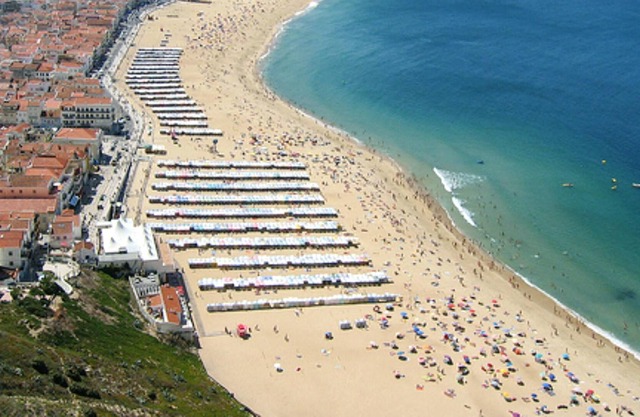 Homerez - House 18 km away from the beach for 8 ppl. with garden at Alcobaça