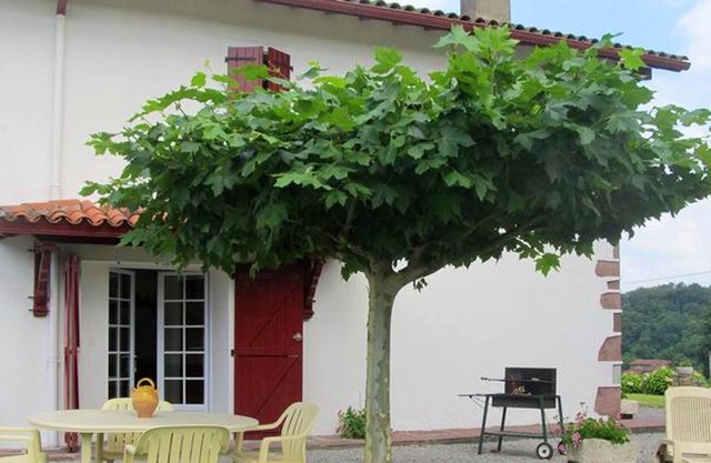 Homerez - Nice house With mountain view and terrace