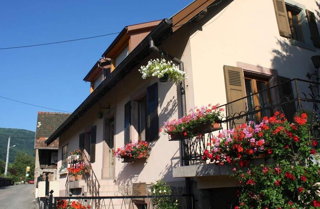 Homerez - Spacious house for 7 ppl. with terrace at Wuenheim