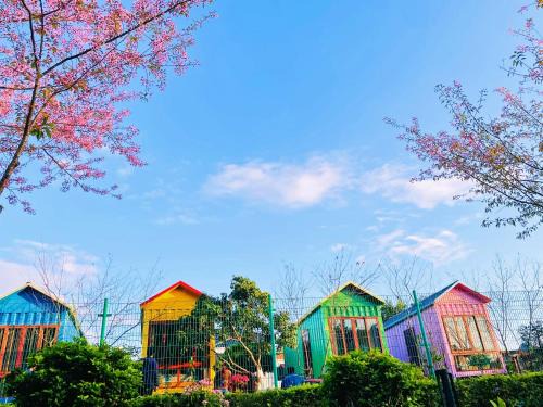 Homestay Gió Mộc