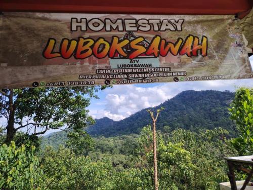 Homestay LubokSawah