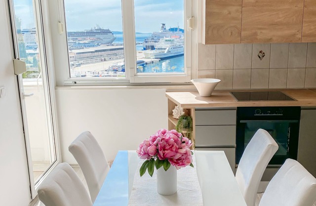Homey apartment with a view