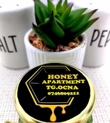 Honey apartment