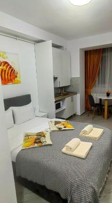 Honey Studio