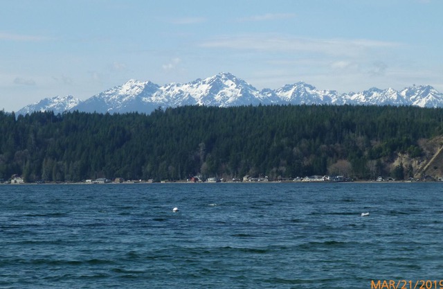 Hood Canal Waterfront - deck overlooking water