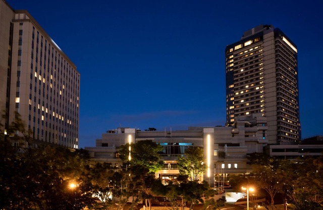 Hoshino Resorts RISONARE Osaka