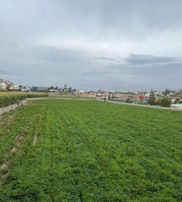 Hospedaje Sachaca, Arequipa