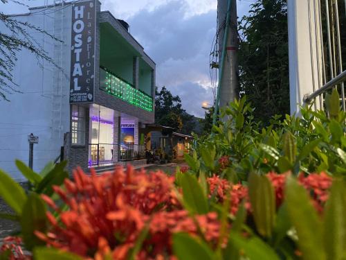 HOSTAL LAS FLORES