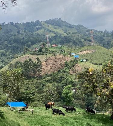 Hostal Las Hamacas del Bosque