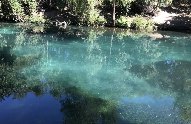 Hot Spot on Comal River. Best Location in Town.