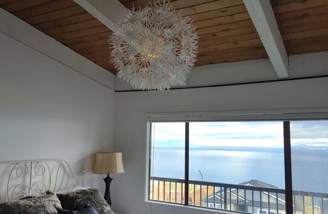 HOT TUB! MID CENTURY MODERN HOME WITH ENDLESS OCEAN VIEWS 3100 sq ft