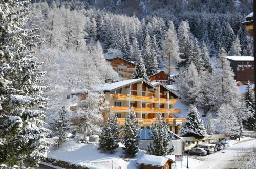 Hotel Alex