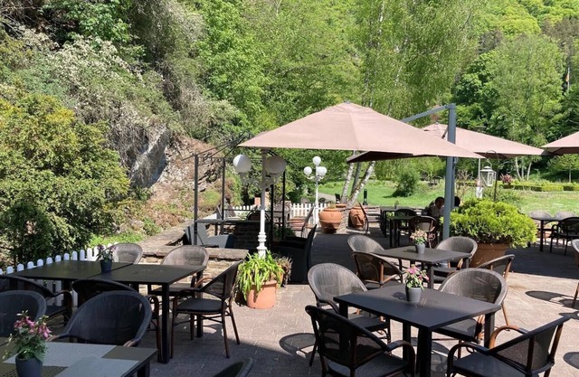 Hotel Alte Mühle
