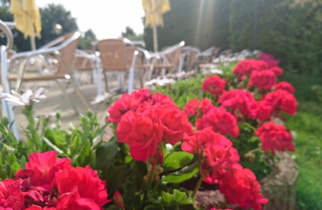 Hotel am Muehlberg