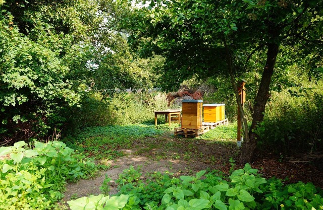 Hotel Am Tierpark