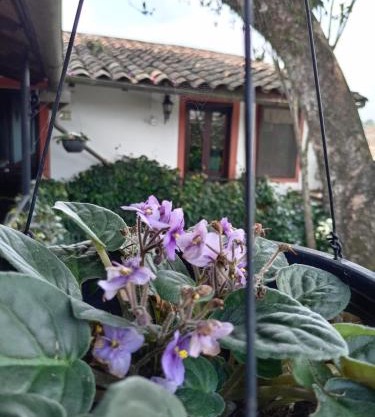 Hotel Boutique Casabella
