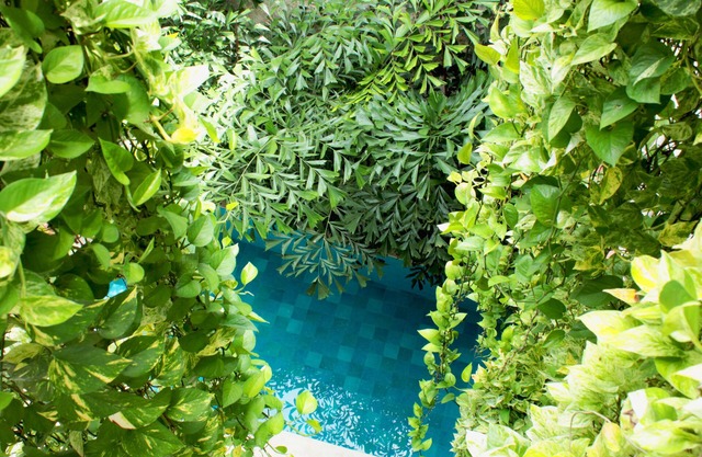 Hotel Casa Don Sancho by Mustique