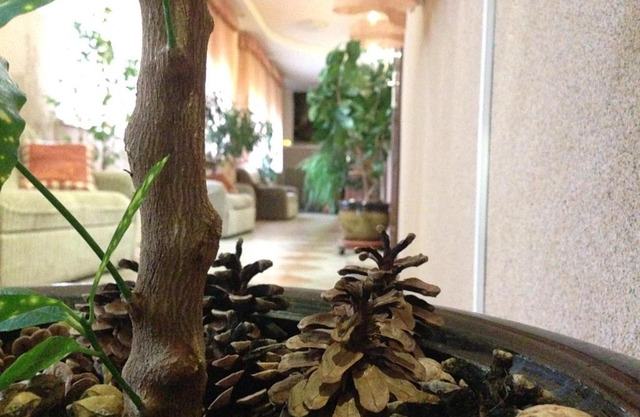 Hotel Dama s Sobach'koy