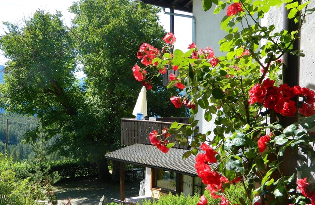 Hotel Ganzaie
