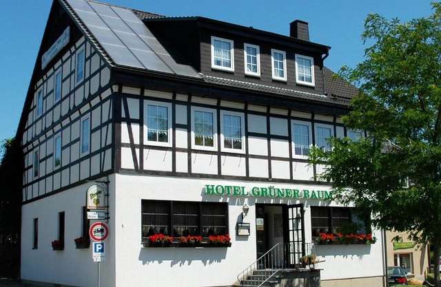 Hotel Grüner Baum