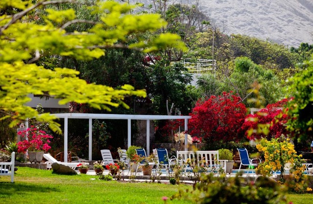 Hotel Los Palomos