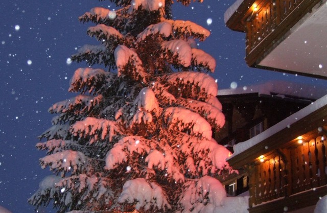 Hotel Mira