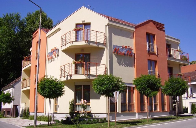 Hotel Mladimir